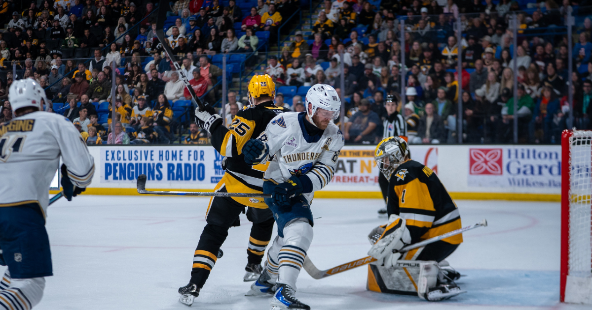 Springfield Thunderbirds | T-Birds' Magical Run Comes to End in…