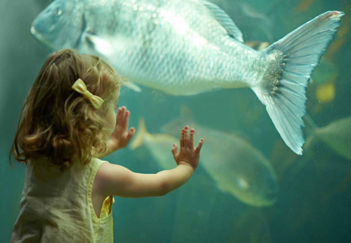 fun things to do in scranton pa A little girl on an outing to the aquarium.