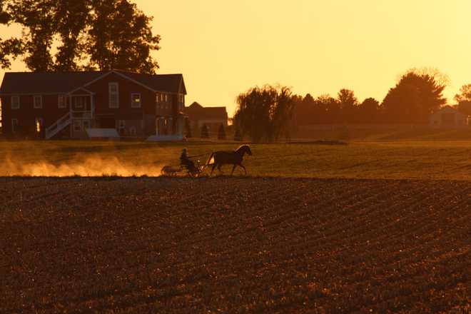 TOPSHOT-US-VOTE-AMISH TOPSHOT - Amish ride a horse carriage at sunset, in Paradise, Lancaster County, Pennsylvania, October 17, 2024. The Amish people of Lancaster, Pennsylvania, are a throwback to another era, with their quiet farm life, horse-drawn carriages and rejection of modern technology. But the Donald Trump signs outside some of their farms serve as stark reminders that they live in today's turbulent world -- and that November 5 is Election Day for them, too, even if most won't vote. (Photo by Paul NOLP / AFP) (Photo by PAUL NOLP/AFP via Getty Images)