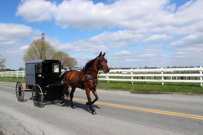 Amish Horse and buggy in Lancaster, Pennsylvania Amish horse and buggy on road in Lancaster, Pennsylvania in springtime. Horse and buggy are passing by a white fence with a graveyard behind. Bright blue sky and white fluffy clouds compliment the photo.
