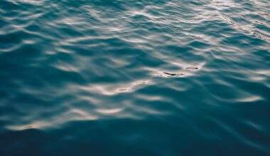 Coast Guard rescues three people from Lake Erie near Kelleys Island in Ohio