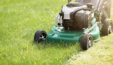 Applications open for Pittsburgh’s City Cuts program, providing free lawn cuts for some residents – WPXI
