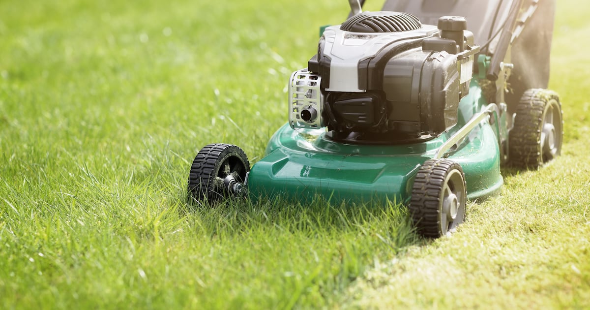 Applications open for Pittsburgh’s City Cuts program, providing free lawn cuts for some residents – WPXI