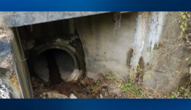 Elizabeth Township road reopens early after culvert repairs