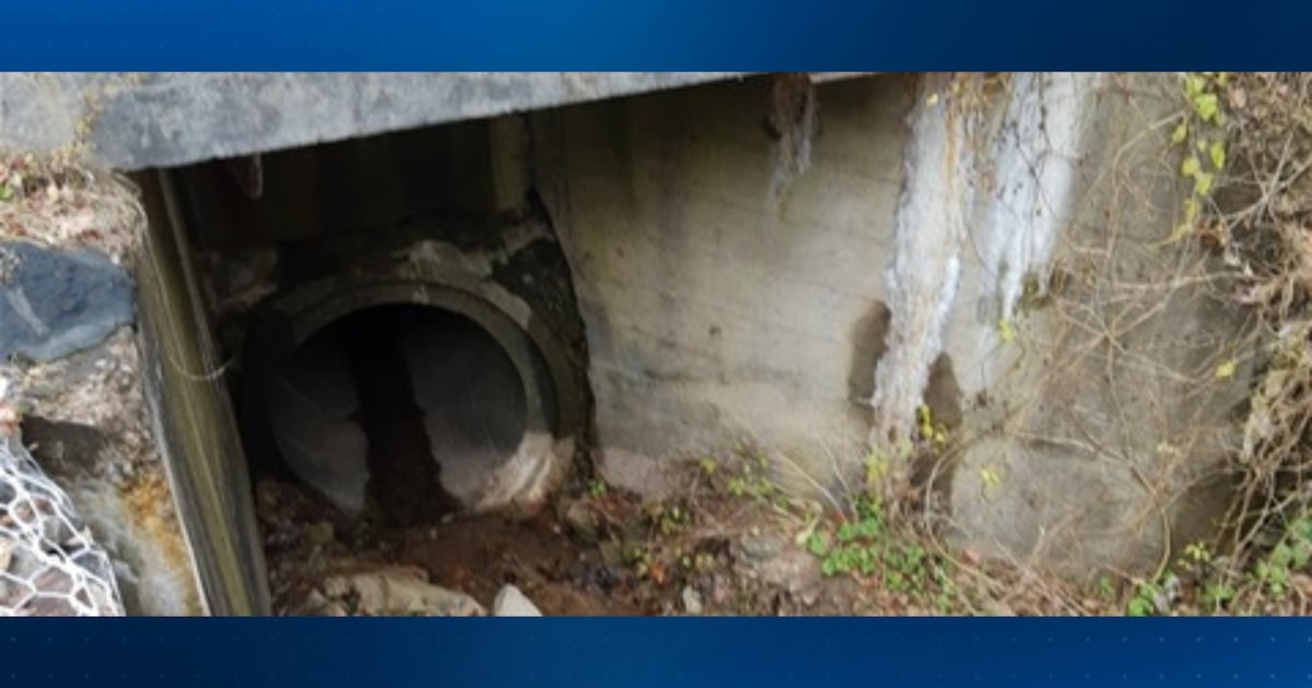 Elizabeth Township road reopens early after culvert repairs