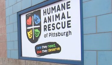 Free vaccine and microchip clinic to be held at Humane Animal Rescue of Pittsburgh – WPXI