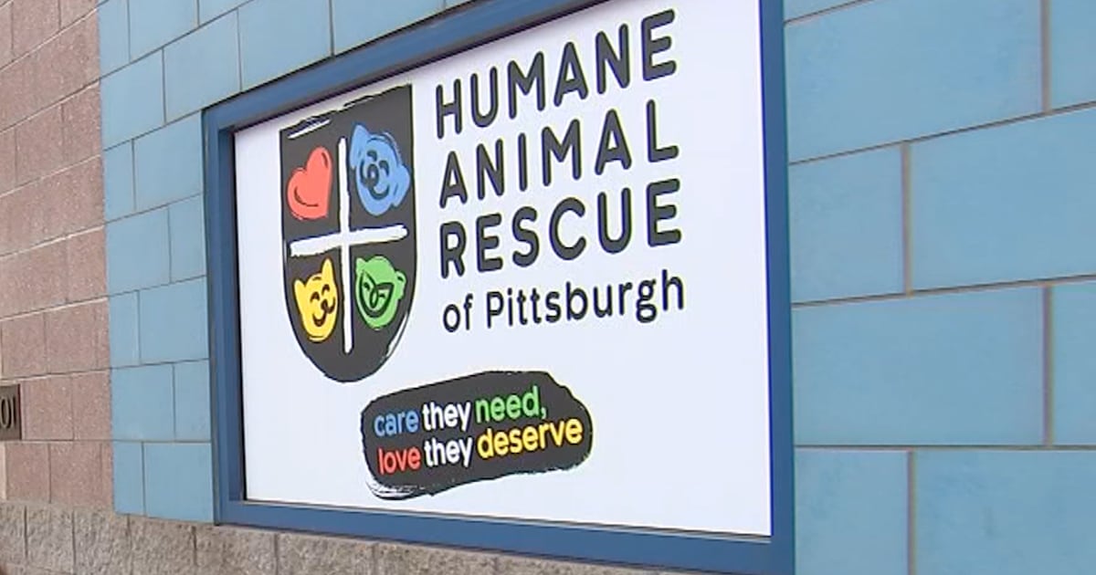 Free vaccine and microchip clinic to be held at Humane Animal Rescue of Pittsburgh – WPXI