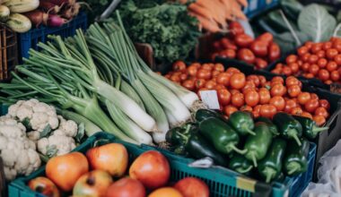 Downtown Pittsburgh farmers market starting back up in Market Square – WPXI