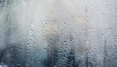 Thunderstorms could develop across Pittsburgh region Wednesday; damaging winds possible – WPXI