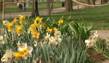 Pleasant weather for Mother’s Day – WPXI