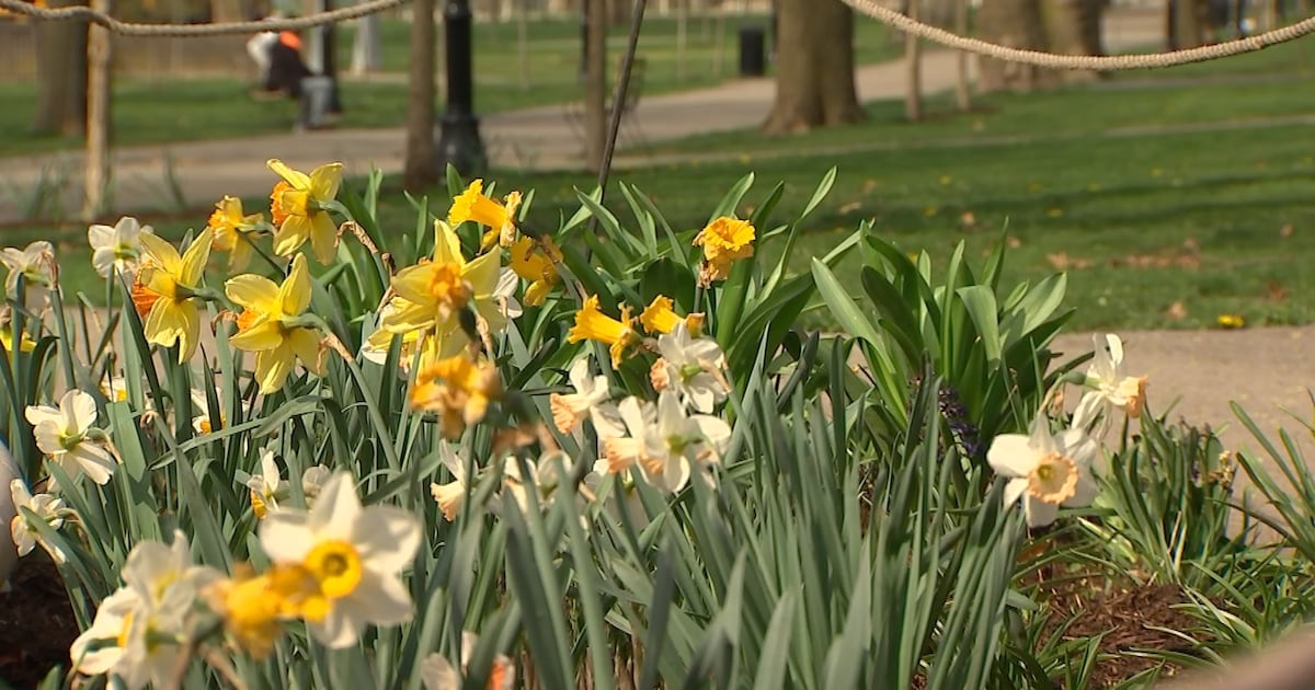 Pleasant weather for Mother’s Day – WPXI