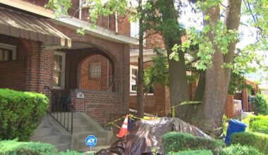 82-year-old on the hook for massive bill after 200-year-old tree crushes sewer line