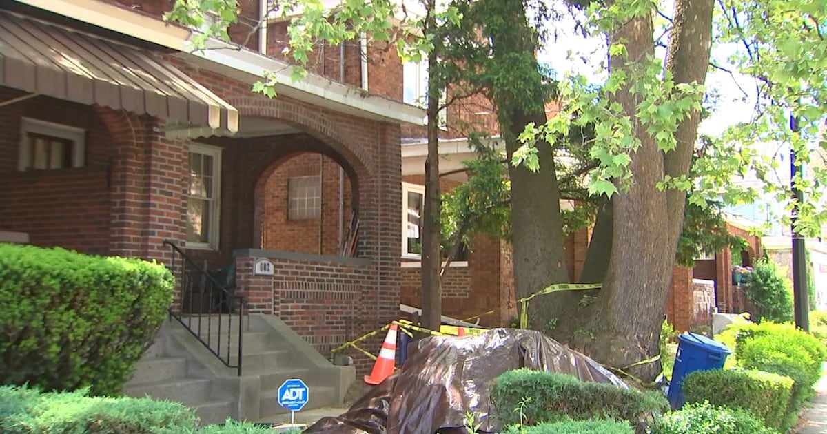 82-year-old on the hook for massive bill after 200-year-old tree crushes sewer line