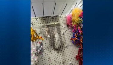 Investigators say fire set at local Dollar Tree was lit intentionally