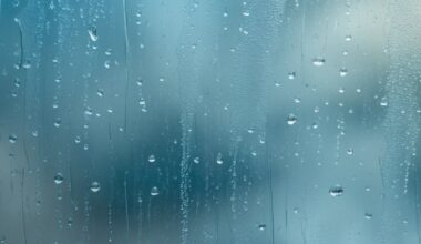 Pittsburgh Weather: Rain showers and storms Wednesday