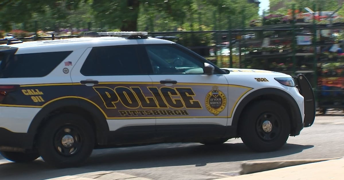 Man accused of pulling out gun during confrontation in Pittsburgh Home Depot parking lot