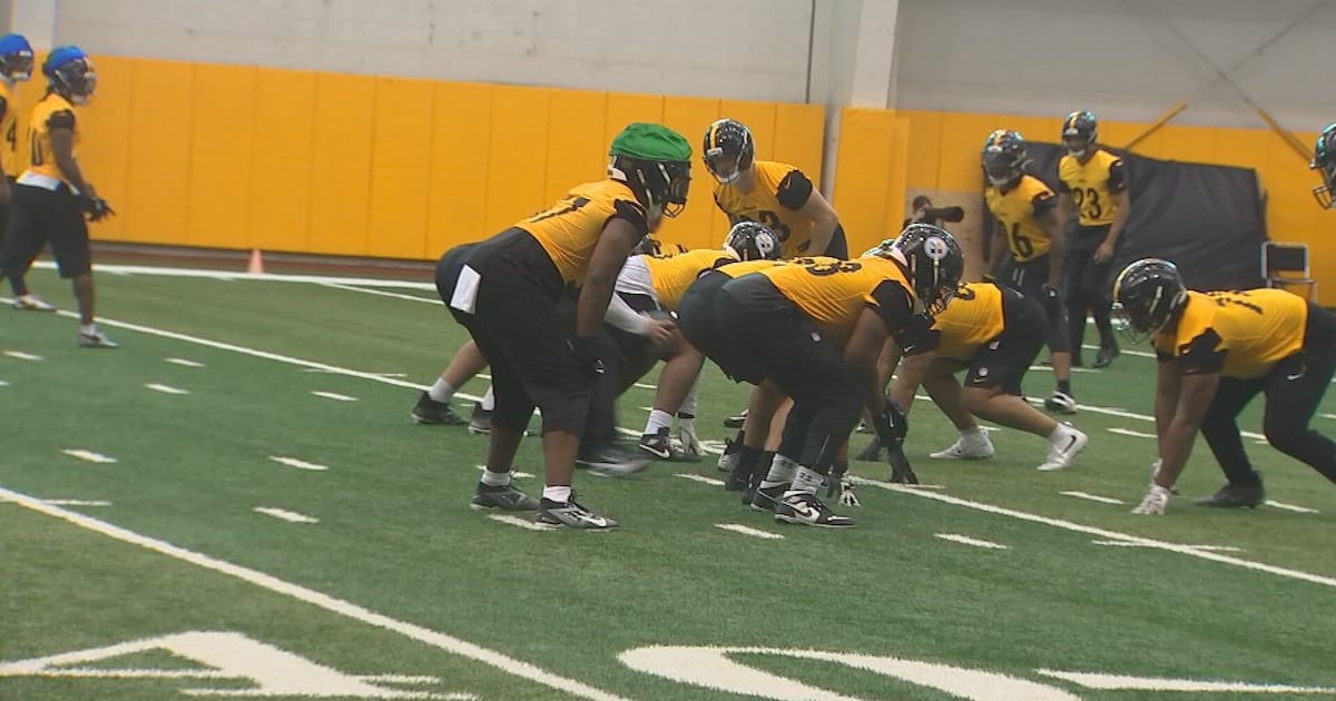 Pittsburgh Steelers assistant coaches speak at OTAs