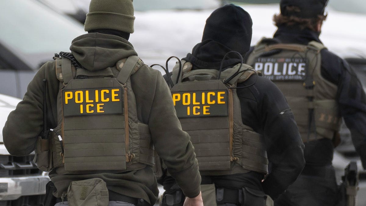 ICE agents