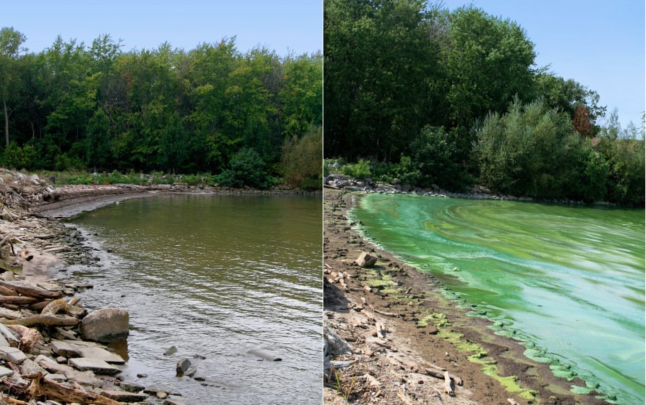 Lake Erie Before After