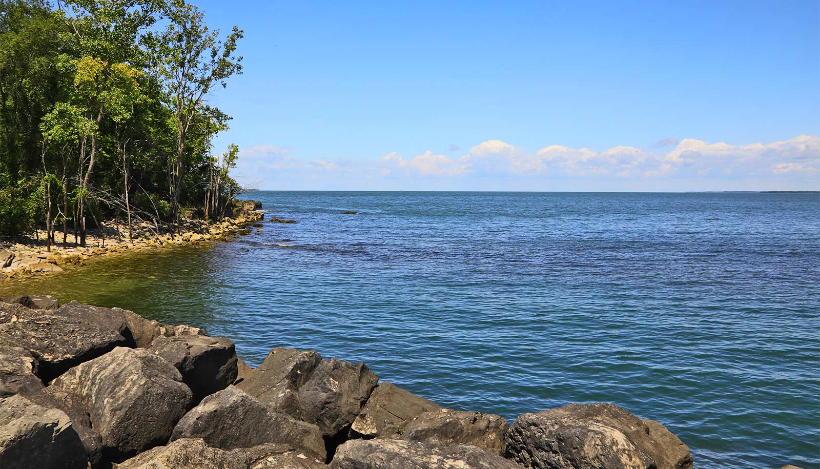 Lake Erie creates 'forbidden soup' of potential toxins