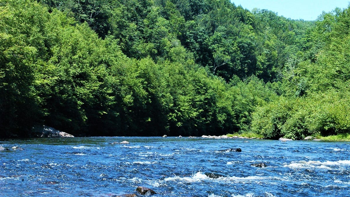 Lehigh River Rapids from within the rapid in the Pennsylvania Poconos, USA, on August 6, 2017.