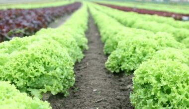 Pennsylvania Seeks USDA Disaster Aid After Crop Freeze