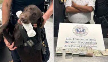 Philadelphia airport police dog sniffs out $44K, seizes the loot