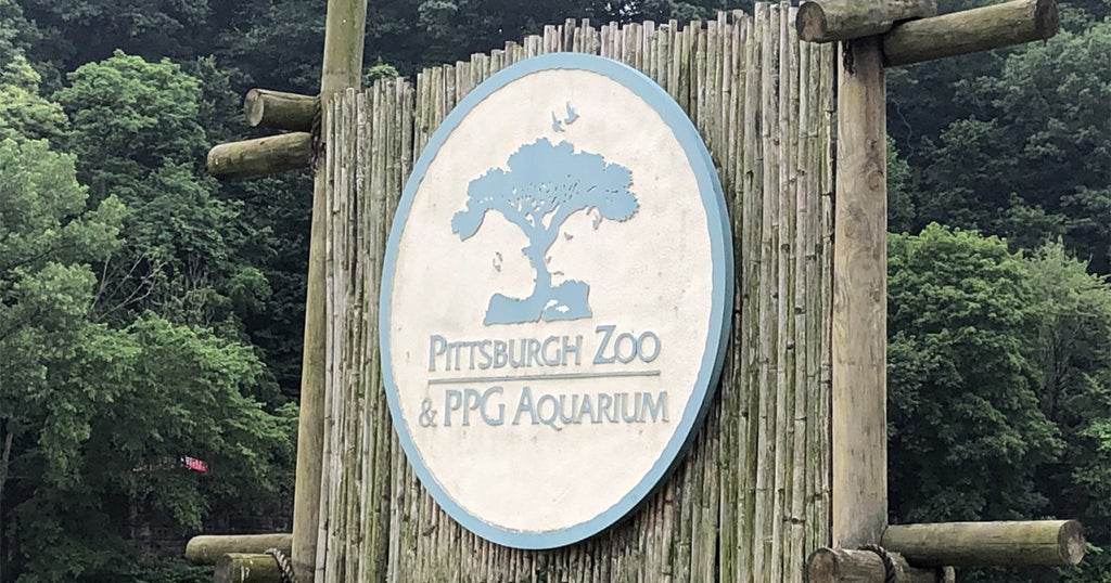 Pittsburgh Zoo reiterates safety policies as several other zoos get hit by hoax calls