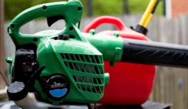 Gas Leaf Blower Ban In Lower Merion Takes Effect Soon: What To Know