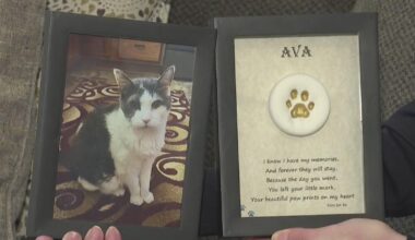 Pennsylvania state senator renews push for legislation to regulate pet cremation