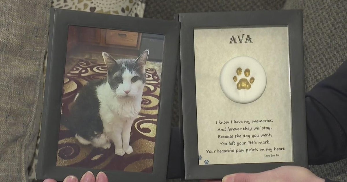 Pennsylvania state senator renews push for legislation to regulate pet cremation