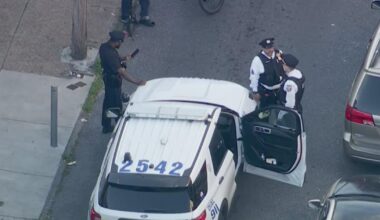 2 children injured in dog attack in Philadelphia's Kensington neighborhood, police say