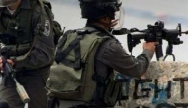 Israeli Forces Shoot Three Palestinians in Hebron and Bethlehem |