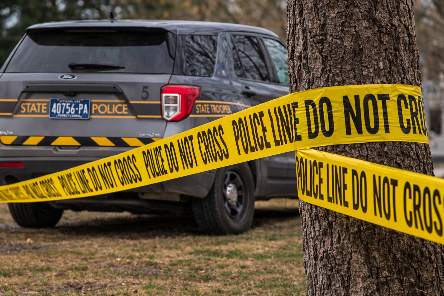 Forest County Man Killed When Trees Fall On Tent, Wife Seriously Injured