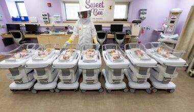 Photos show newborn babies celebrating first Mother's Day in adorable handmade bee hats at Pittsburgh hospital