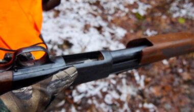 Erie County allows 12 and 13-year-olds to deer hunt with adult supervision