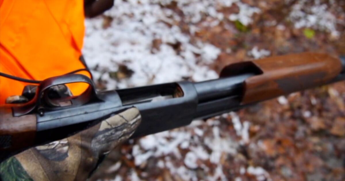 Erie County allows 12 and 13-year-olds to deer hunt with adult supervision