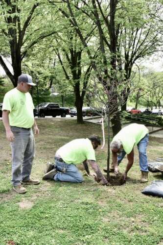 Arbor Day with the Garden Club – Lehigh Valley Press