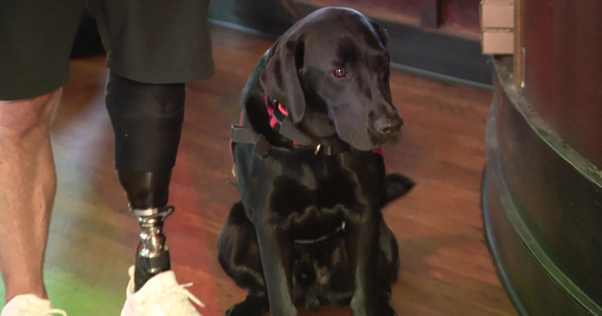 Jefferson University Hospital adds therapy dogs to support staff and students