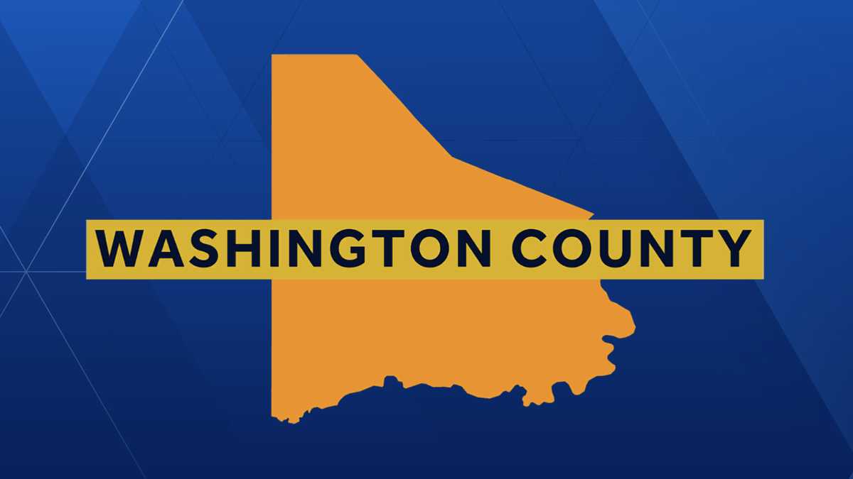 Smith Township police seek help after vehicle-break ins, burglaries reported in Washington County
