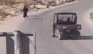 Colonizer Attempts to Ram Palestinian Woman Near Bethlehem |