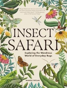 'Insect Safari' book cover