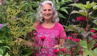 Philly science writer encourages readers to go bug watching in new book 'Insect Safari'
