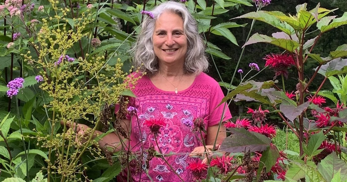 Philly science writer encourages readers to go bug watching in new book 'Insect Safari'