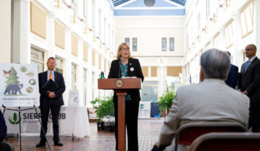The Shapiro admin invests in forests, waterways, wildlife | News, Sports, Jobs
