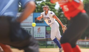 PIAA SOFTBALL: Call near-perfect in Valley View’s win in Class 4A quarters – Scranton Times-Tribune