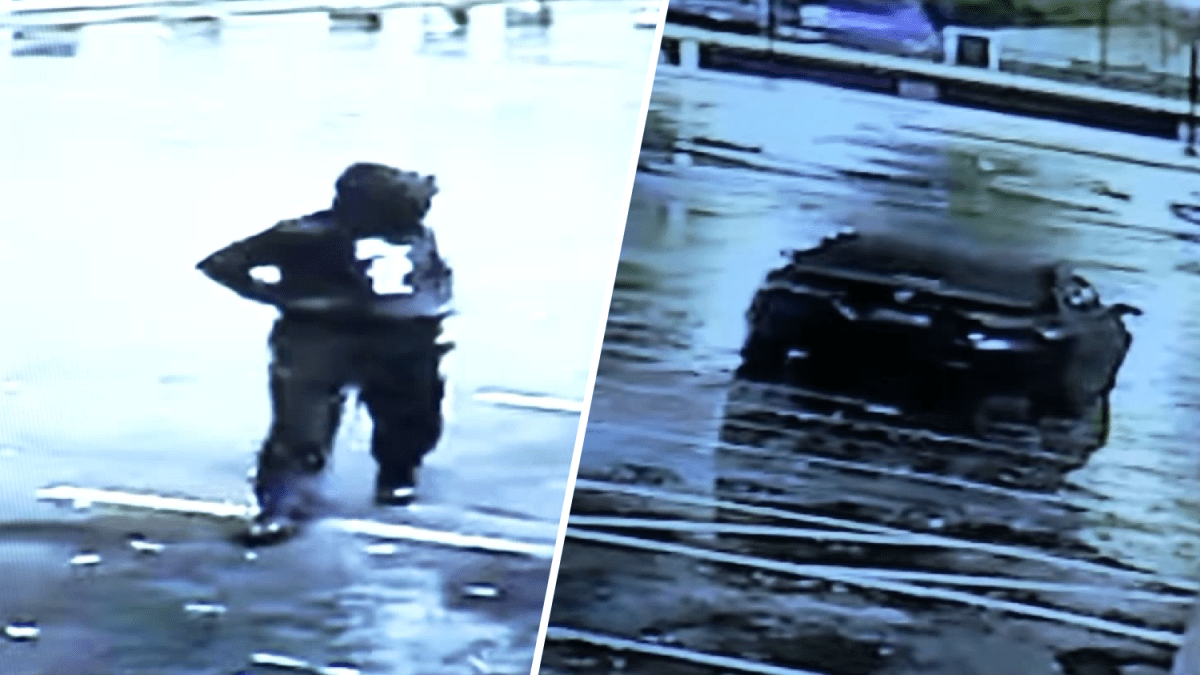 Car in deadly Lower Merion hit-and-run recovered, suspect ID’d – NBC10 Philadelphia