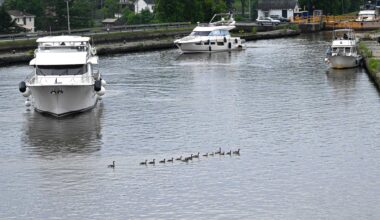 Erie Canal reopens Monday in Waterford