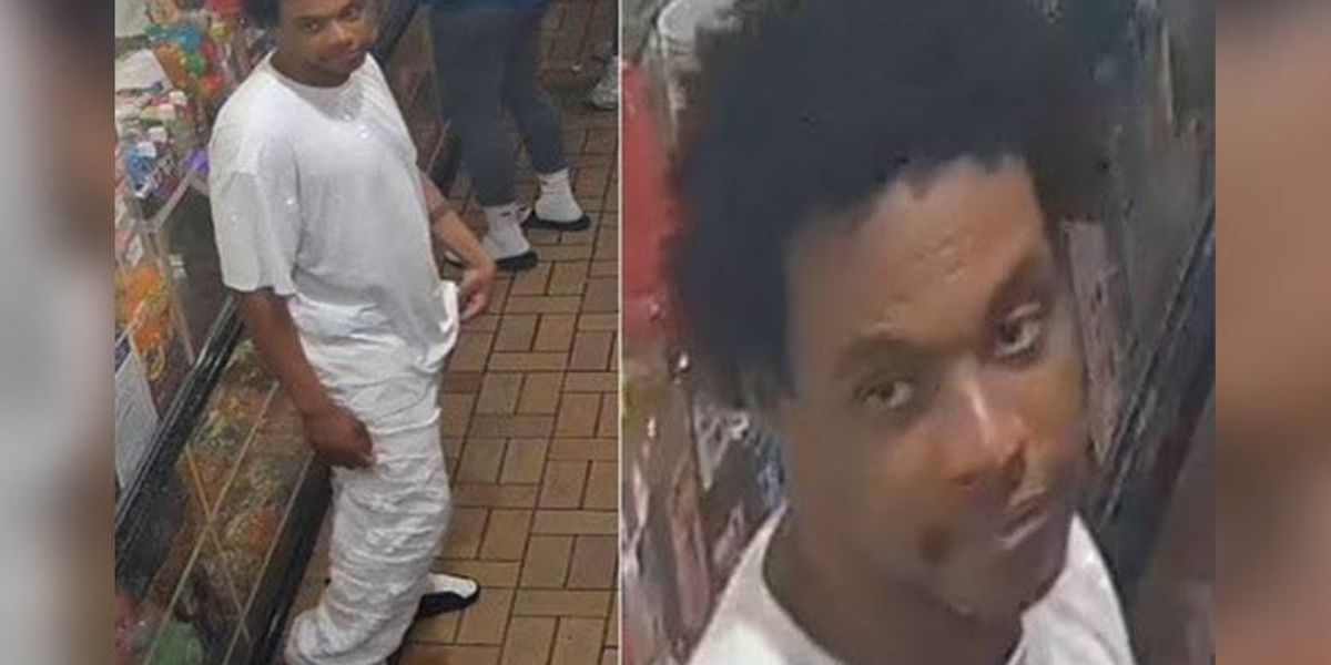 Police seek the public's help in fatal brick beating