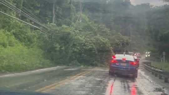 Storms topple trees, bring down wires in Western Pennsylvania